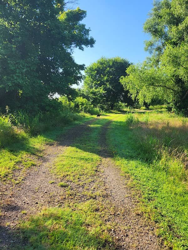 Ronnie Udouj Walking Trail. - Image 1