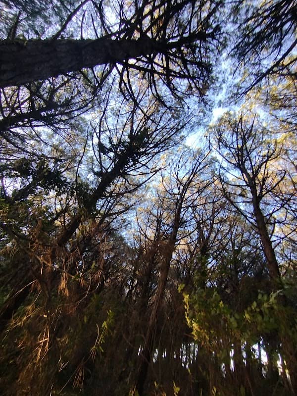 Park - Image 1