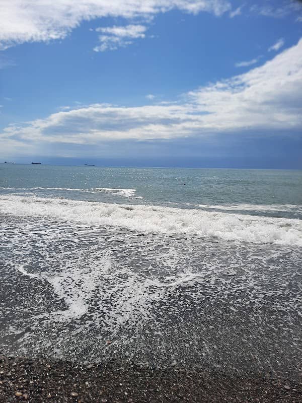 Botanical Garden Beach Viewpoint - Image 1