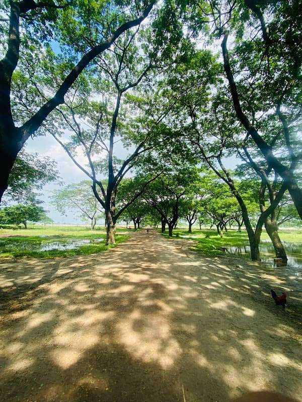 Gutiya Evening Tour Area - Image 1