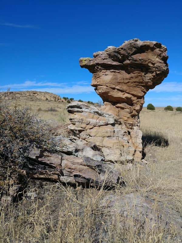 Comanche National Grassland - Image 3