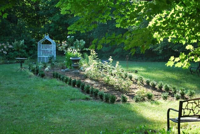 Puck's Garden - Image 2