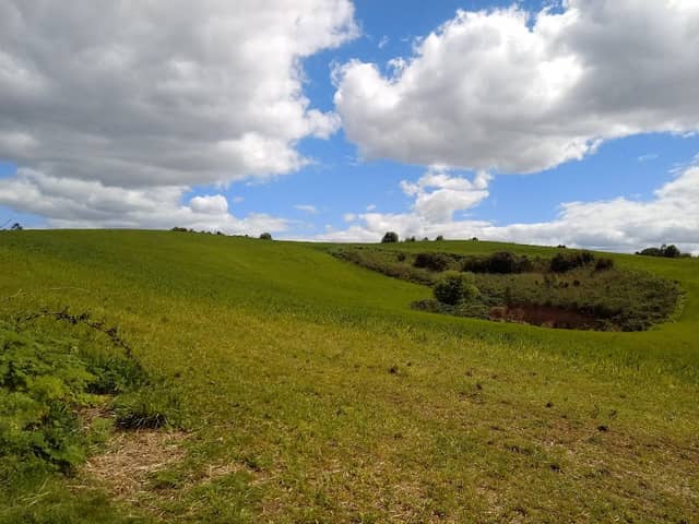 Los Descubridores - Image 1