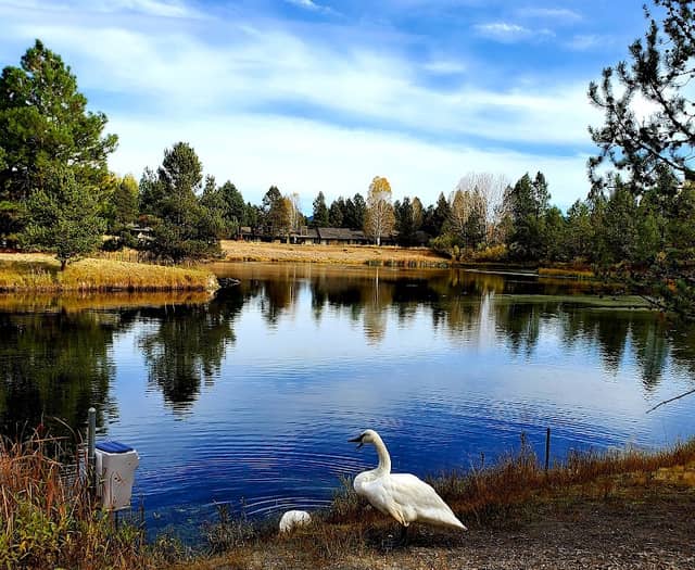 Sunriver Nature Center & Observatory - Image 2