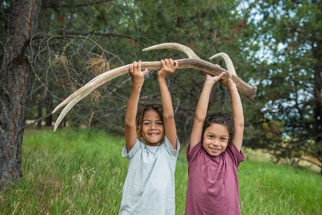 Sunriver Nature Center & Observatory - Image 3