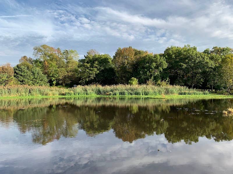 Briant Park - Image 4