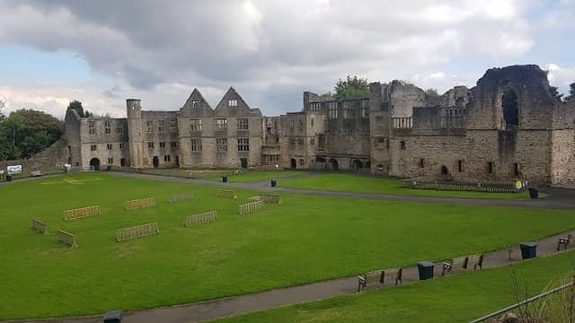 Dudley Zoo and Castle - Image 2