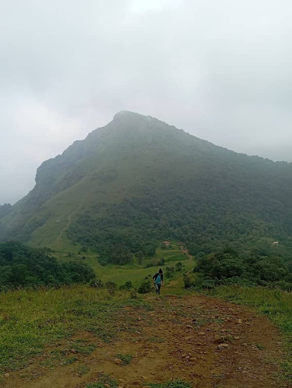 Tent Camping and Madikeri Adventures - Image 1