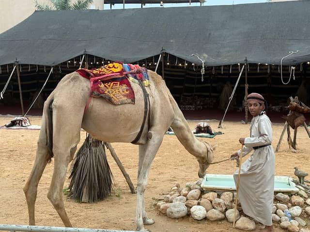 Frankincense Market - Al-Hafa - Image 3