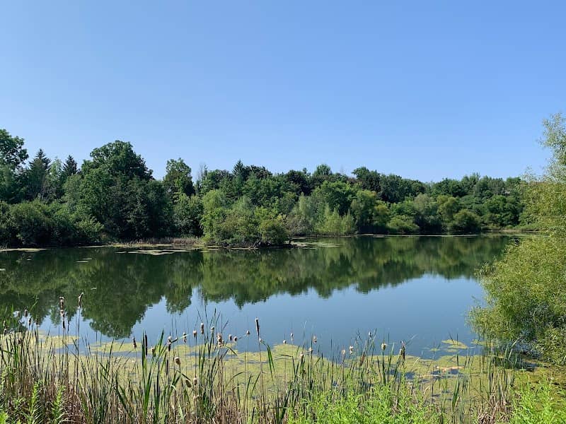 Monkhouse Pond - Image 1