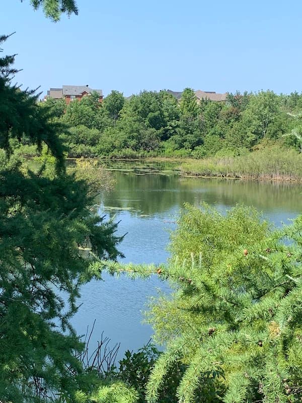 Monkhouse Pond - Image 2
