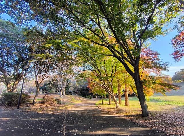 Akasaka Park - Image 2