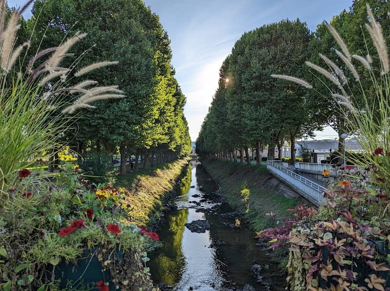 Zweibrücker Allee - Image 1