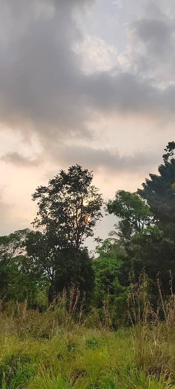 MATHILERITHATTU - Image 1