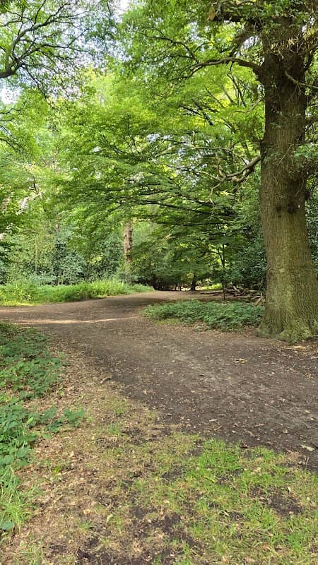 Oak Trail Trailhead - Image 1