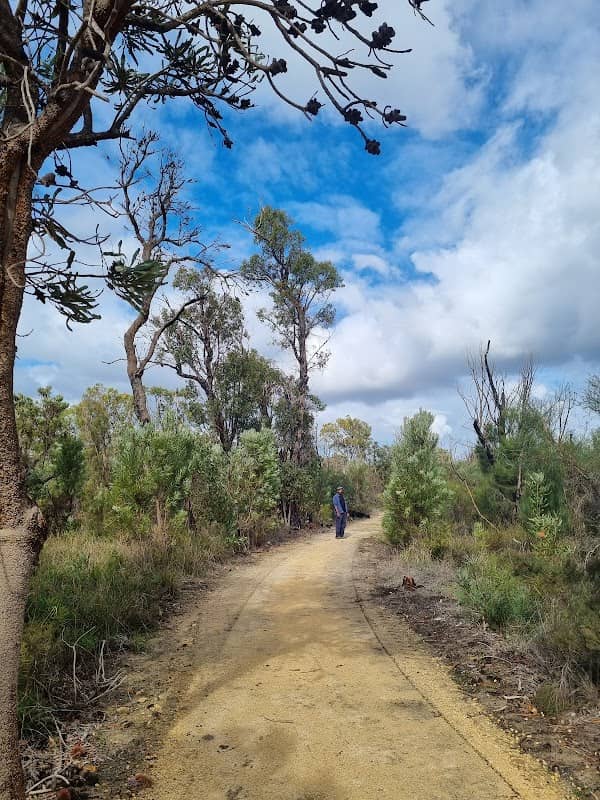 Banksia Walk Trail - Image 2