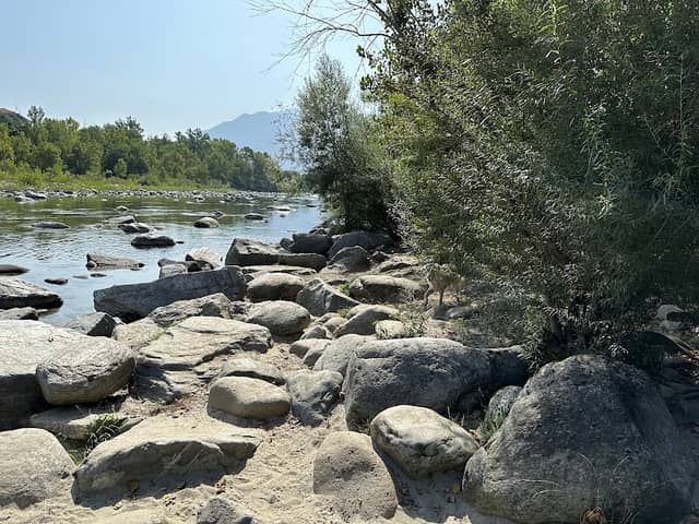 Dog Park Losone - Image 2