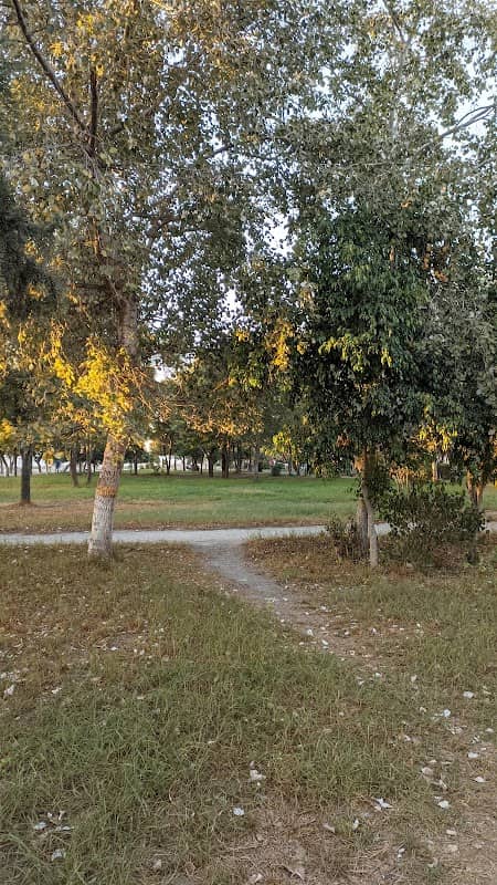 Nasr Park - Image 1
