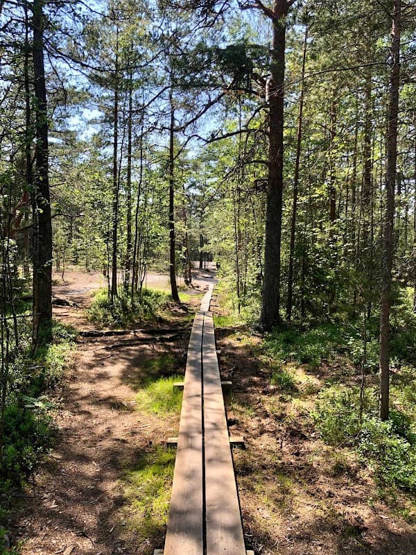 Nature trail - Image 2