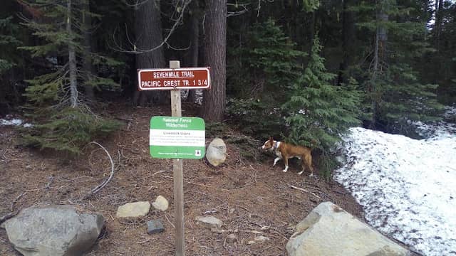 Sevenmile Marsh Trailhead - Image 1