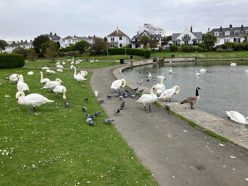 Knap Gardens - Image 2