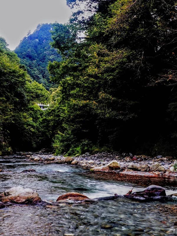 氷川渓谷 - Image 3