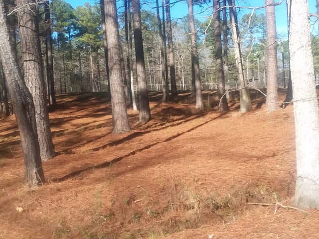 Zack Rogers Park - Image 1