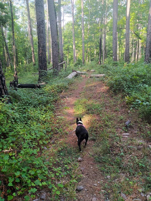Modoc Trail 2 Mile Access - Image 1