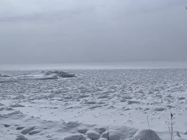Shore Ridges Conservation Area - Image 1