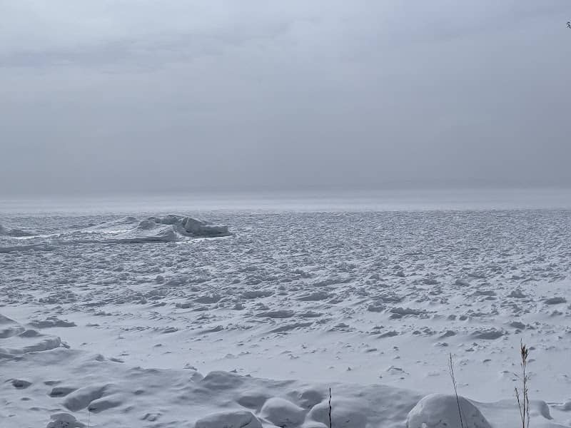 Shore Ridges Conservation Area - Image 1