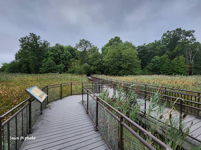 Hawk Rise Sanctuary - Image 2