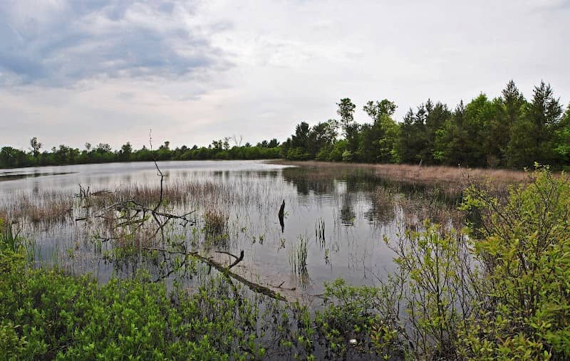 Brockway Ponds State Natural Area - Image 1