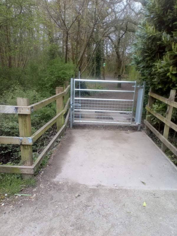 Clincton Wood - Image 2