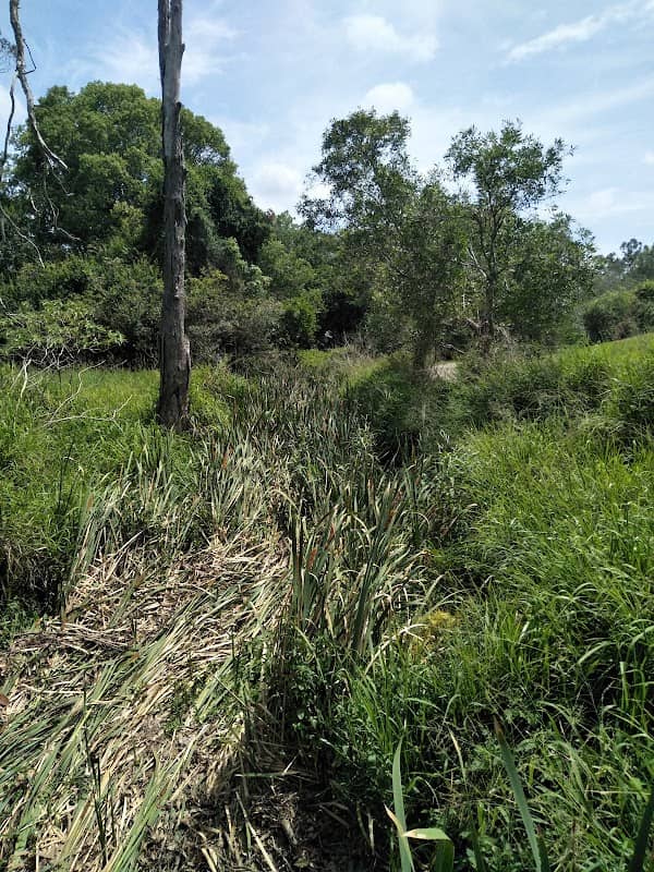 Matthew Hawthorne Reserve - Image 1
