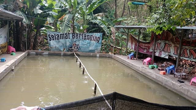 Salim fishing - Image 1