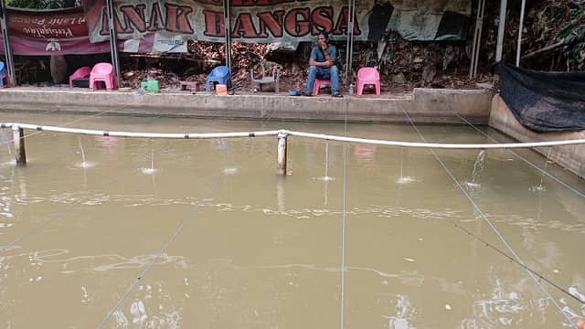 Salim fishing - Image 2
