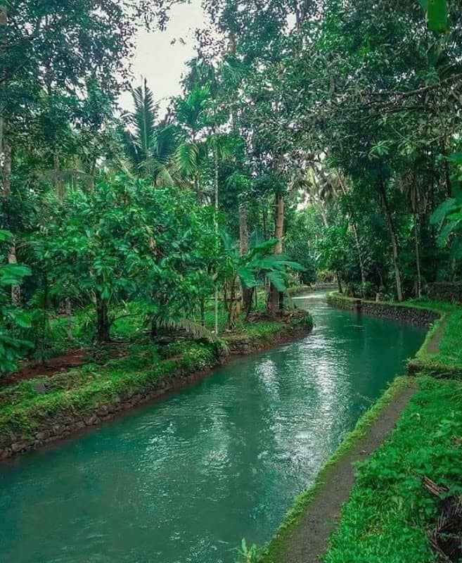 Elipram Thodu - Image 1
