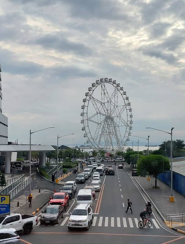 SM MOA Eye - Image 3