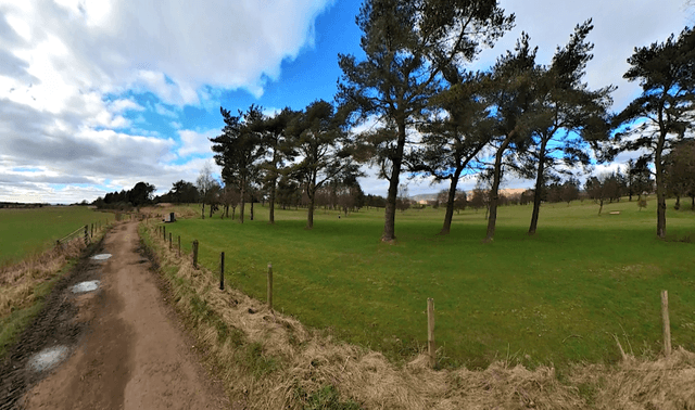 Torrance to Kirkintilloch Pathway - Image 2