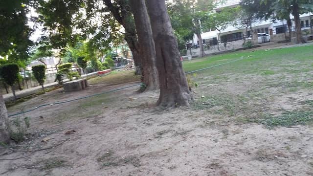 Chhatrapati Shivaji Park - Image 1