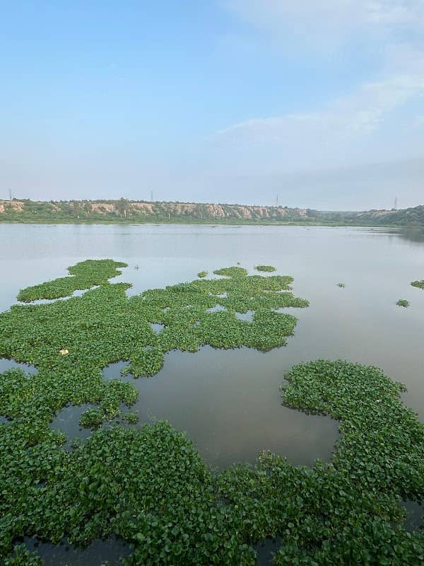 Badkhal Lake Tourism - Image 2