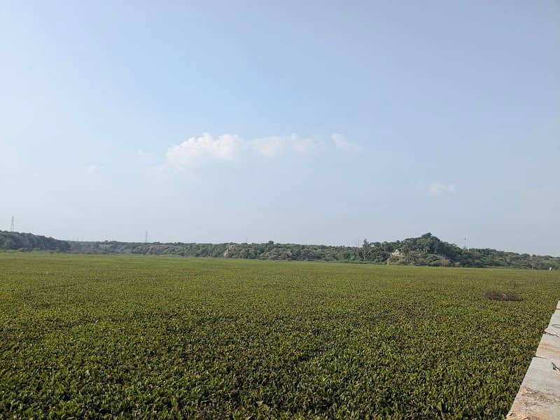Badkhal Lake Tourism - Image 1