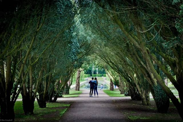 Antrim Castle Grounds Woodland - Image 2