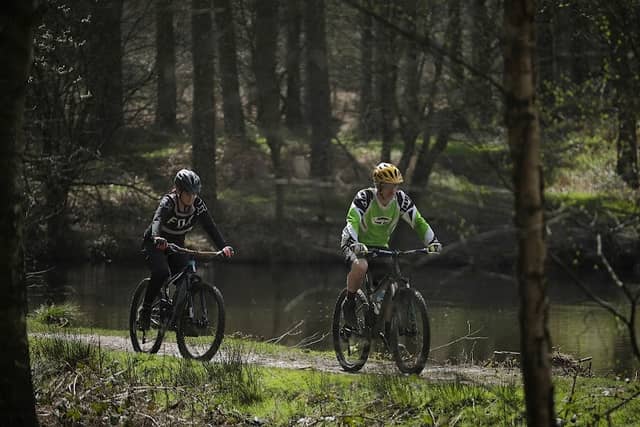 Cannock Chase Forest - Forestry England, main car park - Image 1