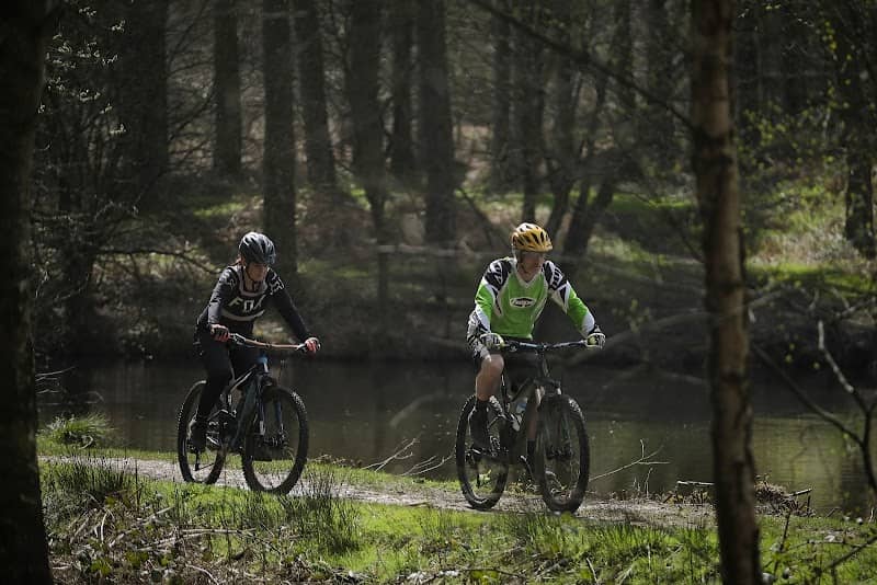 Cannock Chase Forest - Forestry England, main car park - Image 1