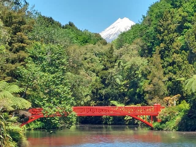 Pukekura Park - Image 1