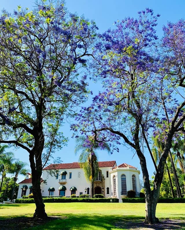 Muckenthaler Cultural Center - Image 1