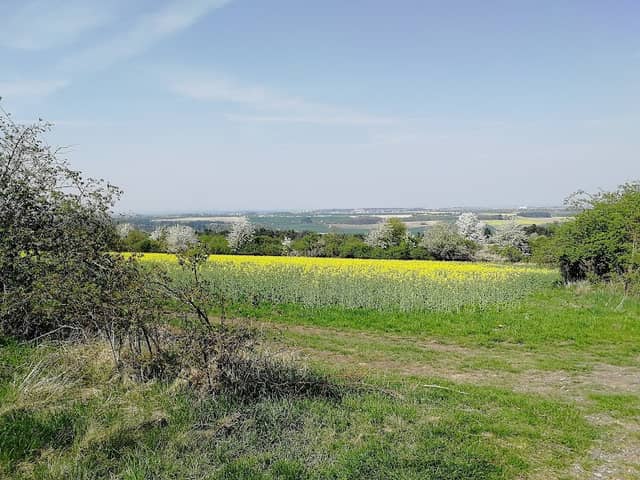 Kamenolom Vinařice - Image 2