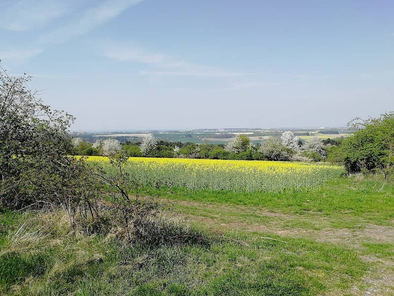 Kamenolom Vinařice - Image 2