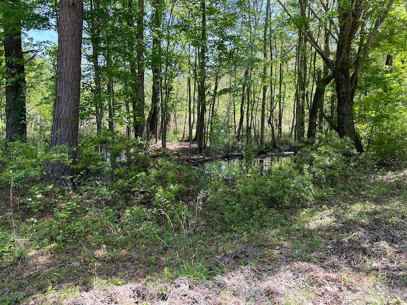 Cuddo Loop Trail - Image 1